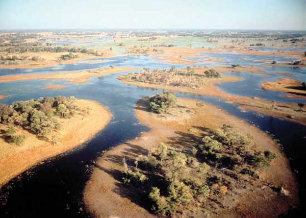 Okavango Delta